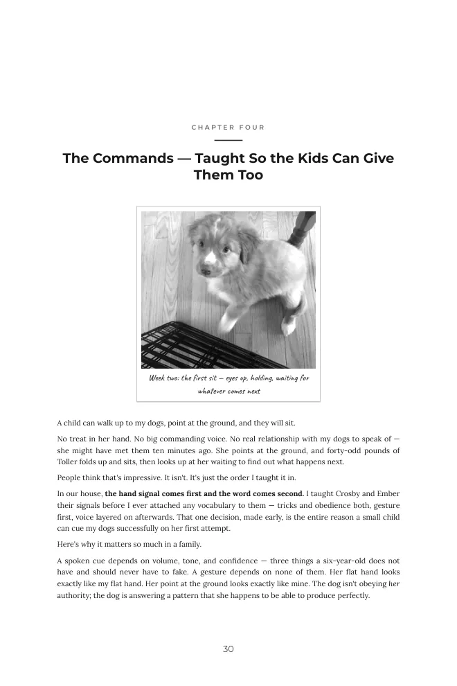 Chapter Four page showing puppy Ember's first sit